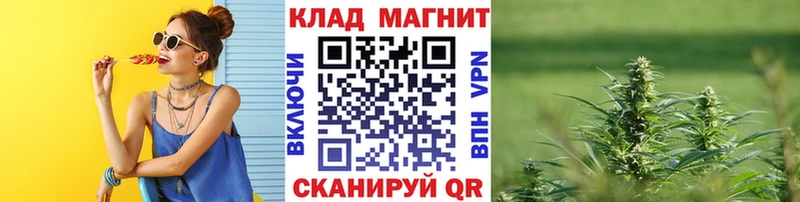 Амфетамин Козьмодемьянск