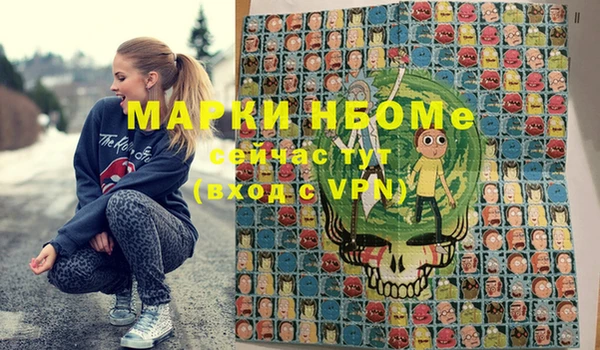 сатива Зеленокумск