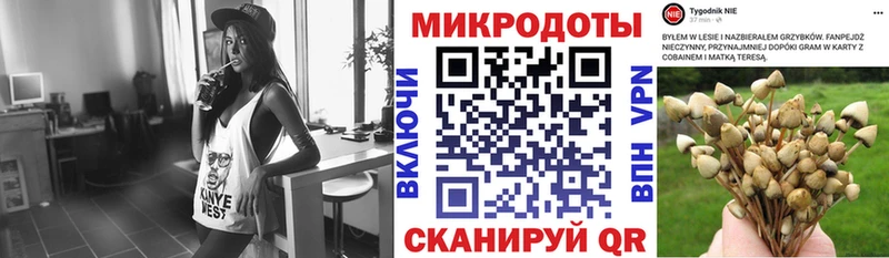 Галлюциногенные грибы прущие грибы  Козьмодемьянск 