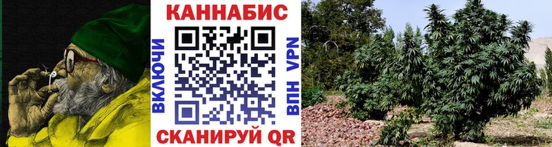 Марихуана сатива  закладка  Козьмодемьянск 
